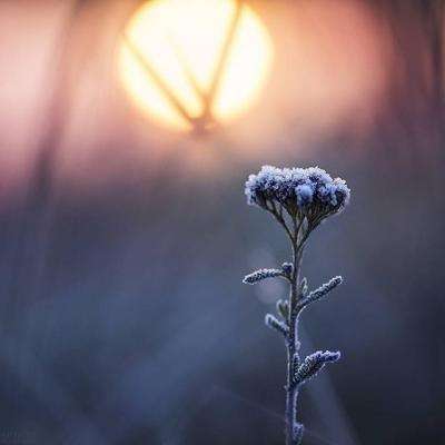 大众彩票入口welcome·官方网站